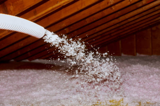 Best Commercial Insulation in Spring Creek, NV