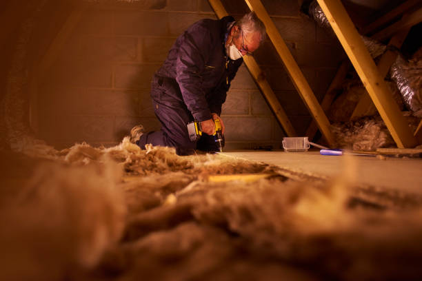 Best Insulation Maintenance and Repair in Spring Creek, NV